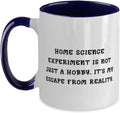 Cheap Home Science Experiments Home Science Experiment Not Ceramic Mug