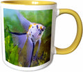 Freshwater Tropical Marble Veil Angelfish Ceramic Mug