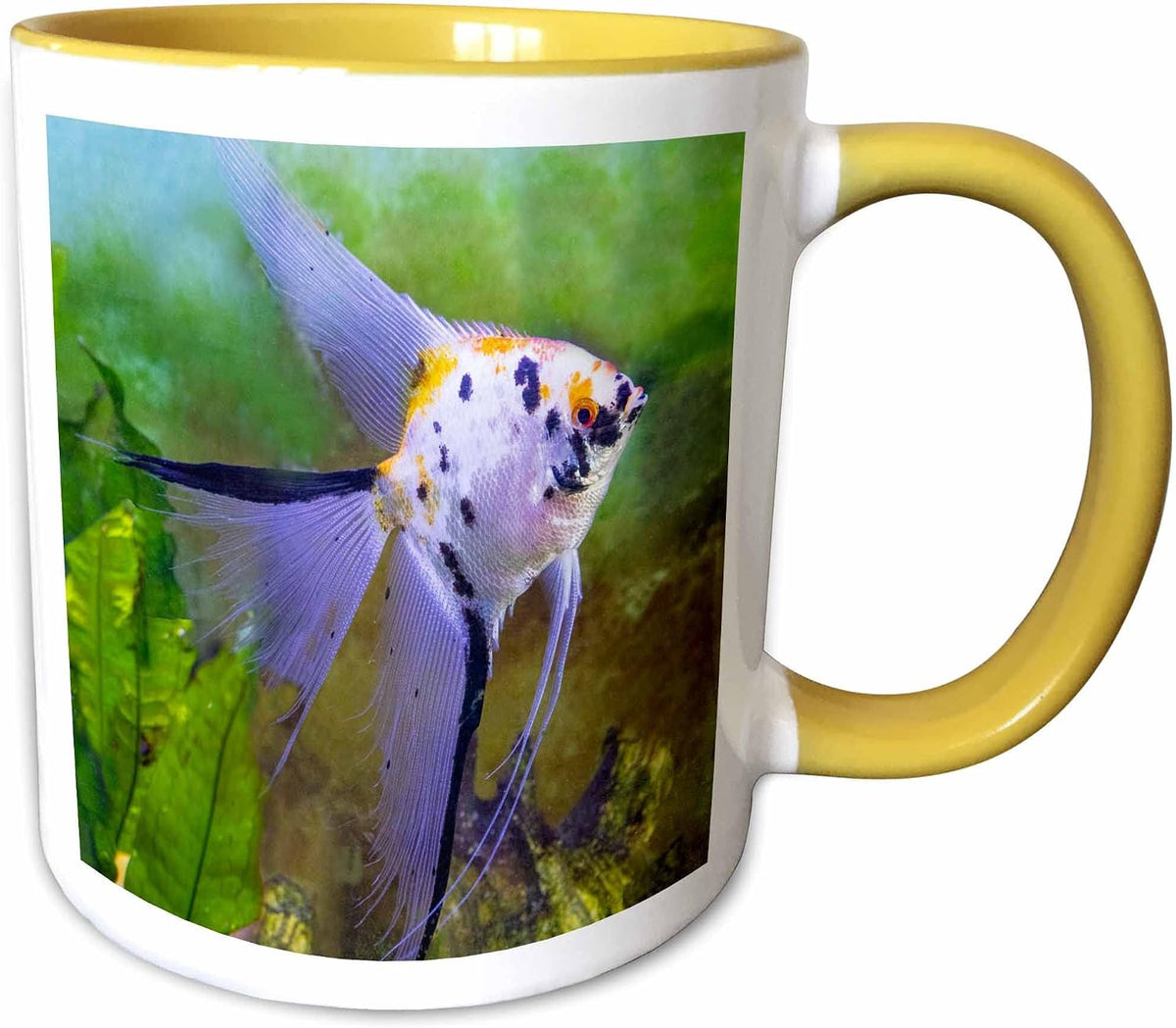 Freshwater Tropical Marble Veil Angelfish Ceramic Mug