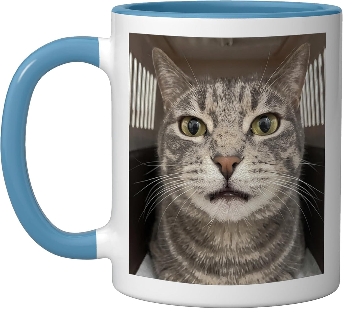 Funny Cat Selfie Meme Photo Cat Lover Ceramic Mug